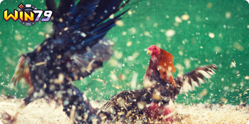 Thống Kê và Soi Kèo Chuyên Sâu